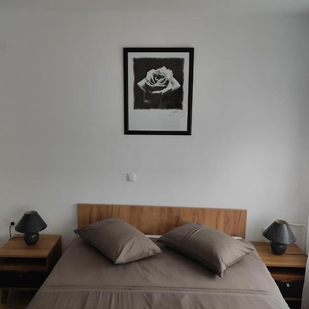 Studio Apartman Rose Plitvicka Jezera Exterior foto